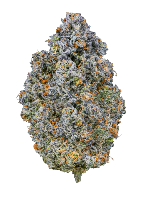 Buy Z Cube Strain By Greasy Couture UK