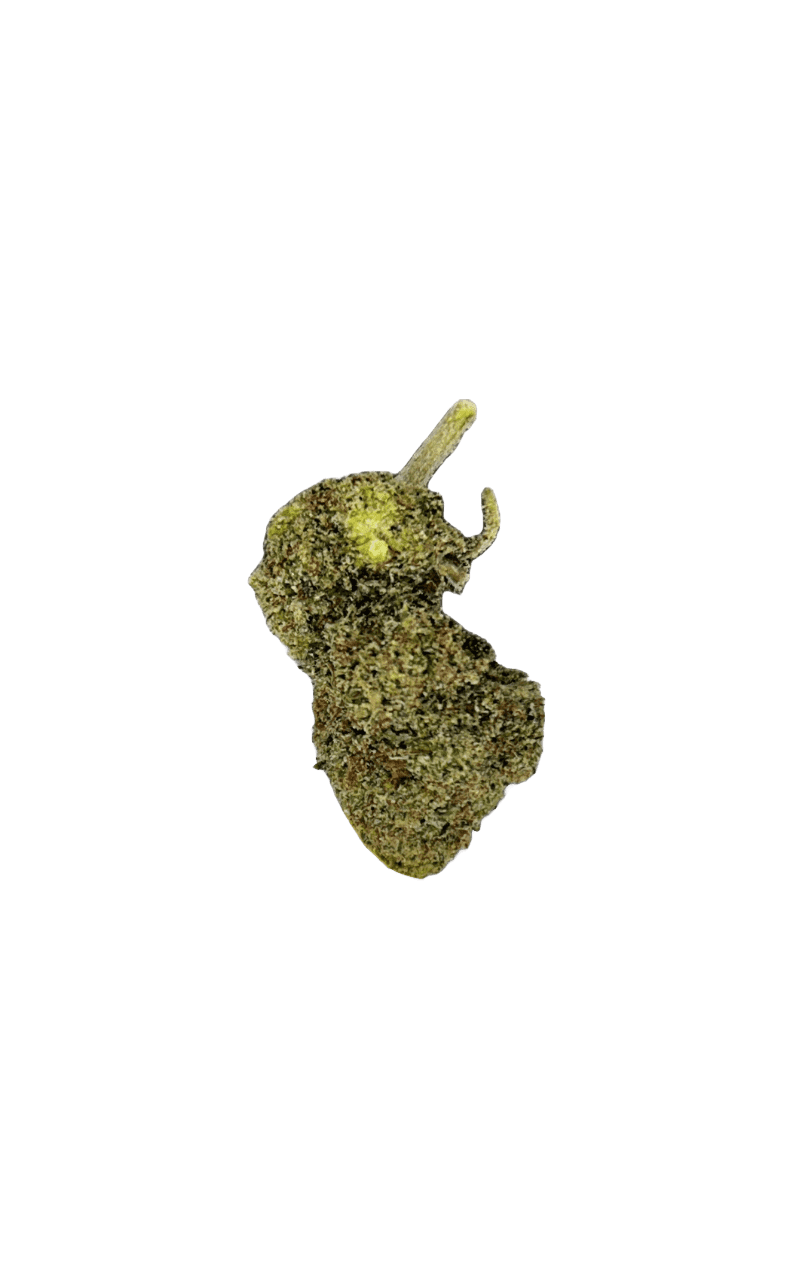 Buy Blue Candy Runtz Strain UK